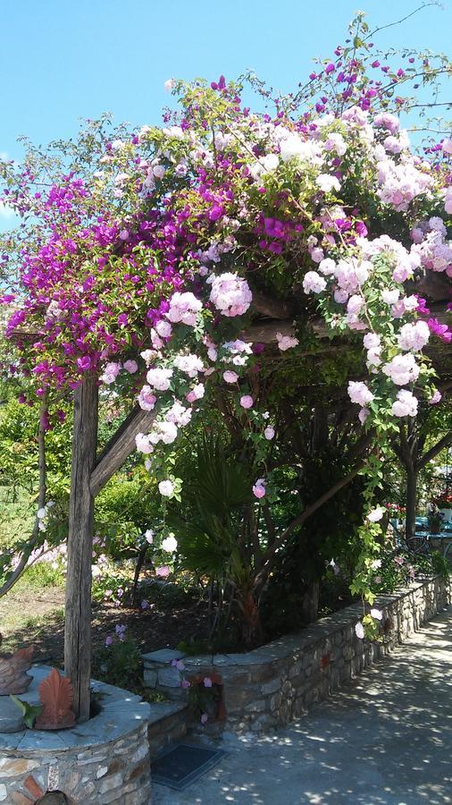 Aparthotel Maniatis Garden Achladies  Exterior foto